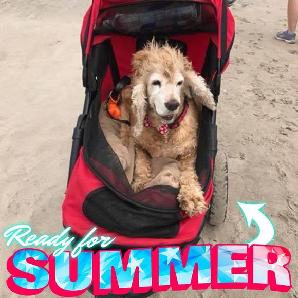 Meet your Posher, Claudia - Picture 1 of 1